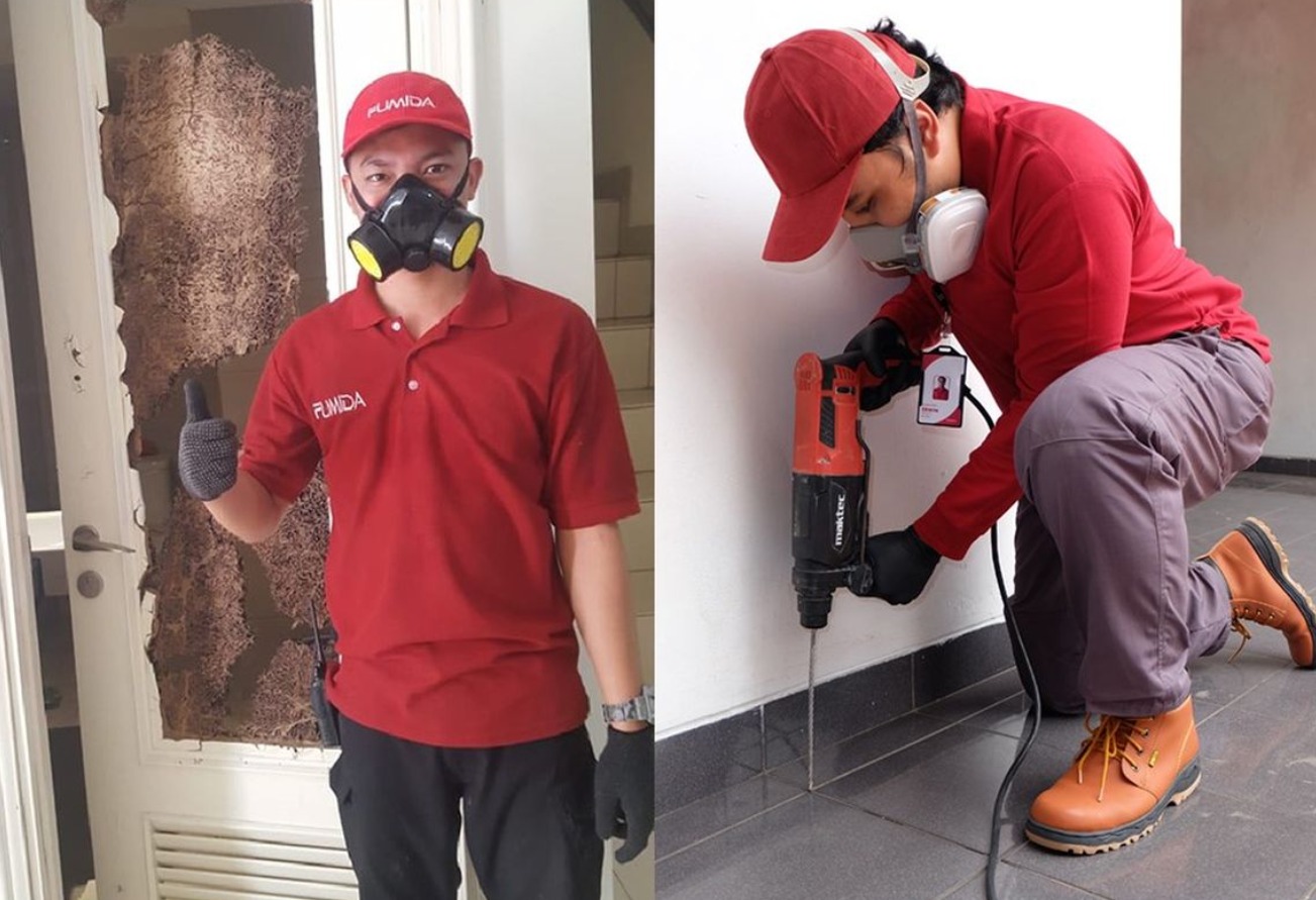 Alasan Rumah Terserang Rayap Menurut Jasa anti rayap